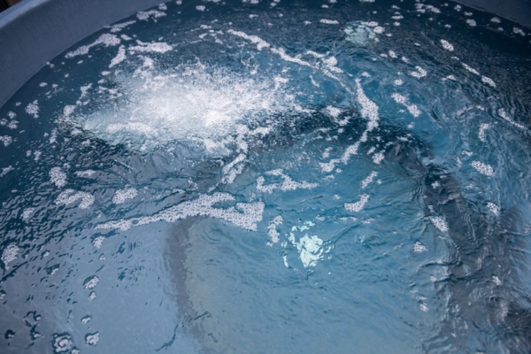 Bain Steady Flow à jets massants 4-6 places