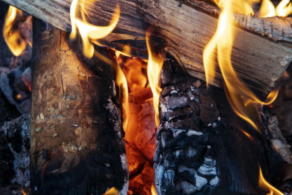 Carelia Grill Barbecue 9K-80