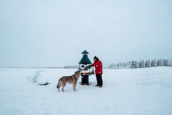 Carelia Grill Barbecue 9K-80