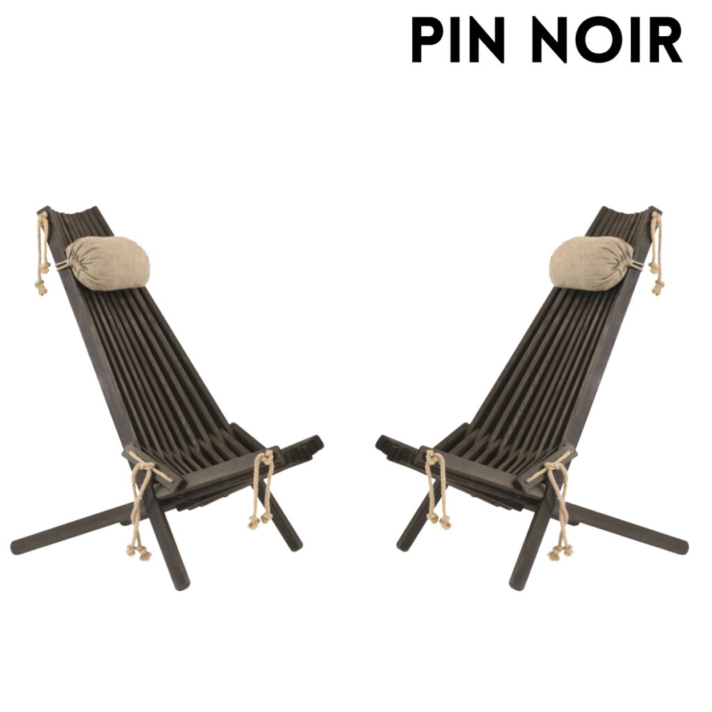 Ensemble 2 chaises et 2 coussins