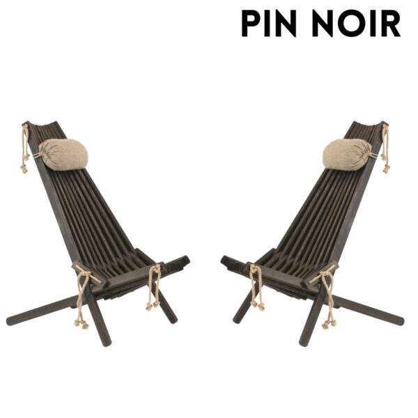 Ensemble 2 chaises et 2 coussins