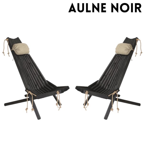 Ensemble 2 chaises et 2 coussins