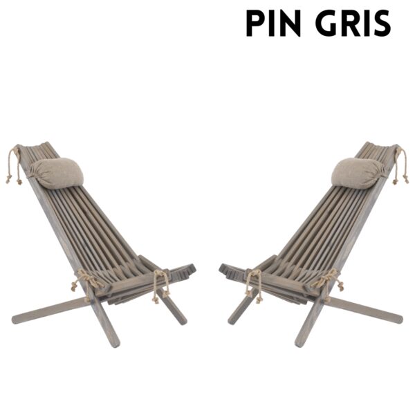 Ensemble 2 chaises et 2 coussins