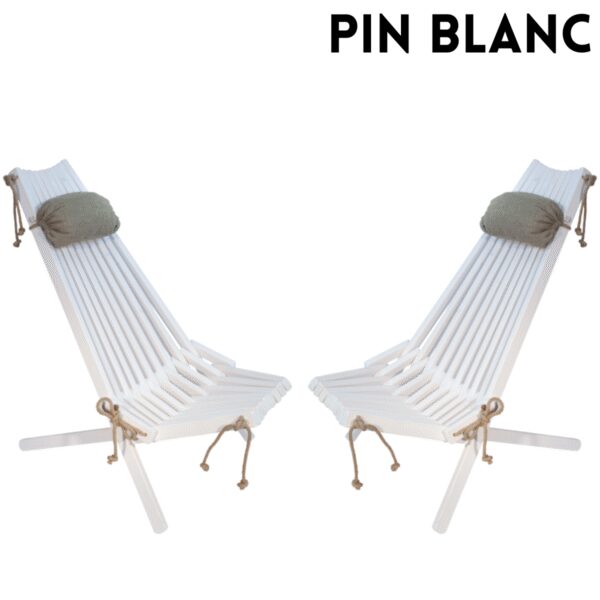Ensemble 2 chaises et 2 coussins